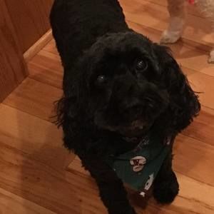 Meet your Posher, Becky